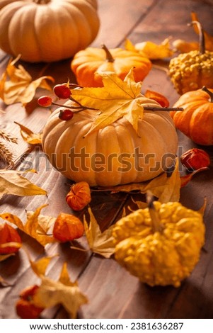 Autumn still life with pumpkins and leaves on wooden background. Thankgiving home decoration.