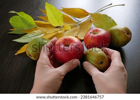 Hand holding the apple and pear on black wooden background with copy space, autumn harvest concept, closeup