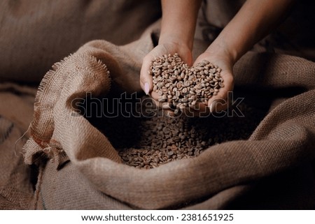 Professional worker hold green coffee beans shaped heart on background jute bag in warehouse. Concept roaster factory, love with espresso. Royalty-Free Stock Photo #2381651925