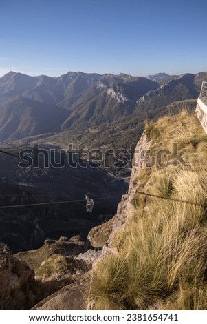 vertical photo, landscape with grasses and trees in mountains, w