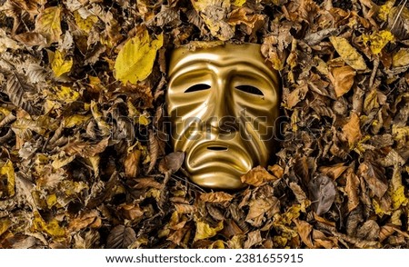 The appearance of a mask of tragedy from fallen leaves