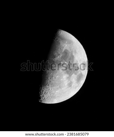 First quarter moon showing the "poodle"and craters along the terminator