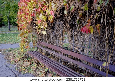 City street bench made of individual boards, autumn geometric background, seasons, concept of the finitude of life and eternity.