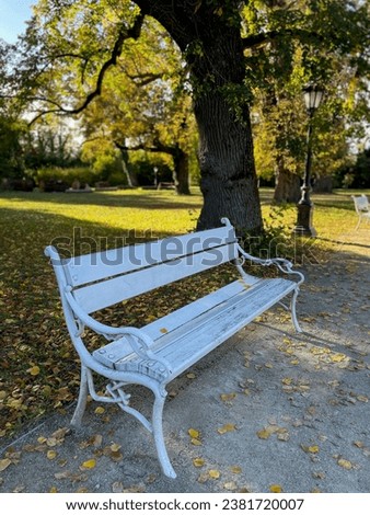 Stunning view of a white sitting bench and beautiful autumn park forest landscape with yellow trees on a sunny day Royalty-Free Stock Photo #2381720007