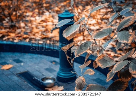 Street water tap in the autumn park concept photo. Water pouring source for animals. 