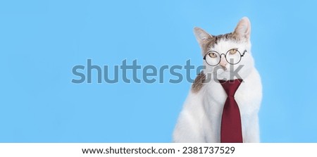 Funny white Cat wearing a red bow tie with eyeglasses on blue background. Portrait of a Smart cat in glasses and tie. Work from home office. Education. Science. Knowledge concept. World Pet Day.