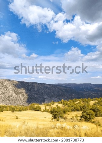 
blue sky and green tree landscape