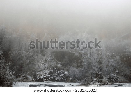 Frozen fog in winter landscape.
