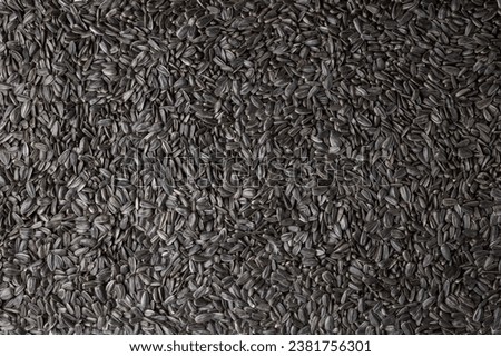 Heap of black oil sunflower seeds as background. Top view.