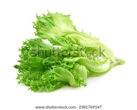 green frillies iceberg lettuce isolated on white background Royalty-Free Stock Photo #2381769147