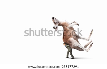Tired businessman carrying kangaroo on his back