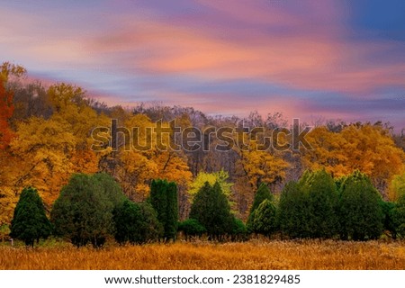  The autumn season colors.Colorful trees and autumn landscape in forest. USA

