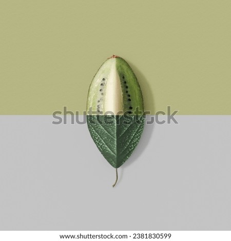 Creative Minimal nature concept with green leaf and kiwi slice. Summer fruit background. Split composicion,  Flat lay social mockup with copy space.
