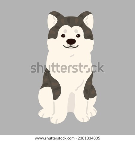 Simple and adorable flat dark colored Akita Dog sitting in front view