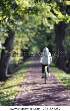 autumn in the park defocused background