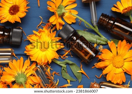 Bottles of essential oils and beautiful calendula flowers on blue wooden table, flat lay
