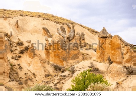 Rock Formation in the Devrent Valley in Cappadocia, Camel Valley, Turkey 