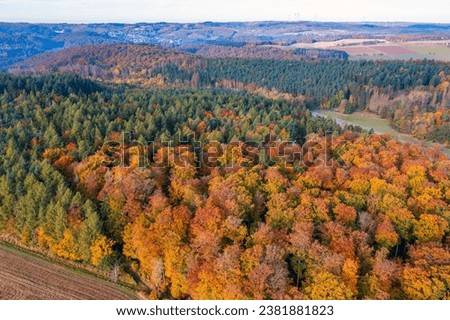 Bird's-eye view of the autumn idyll of the colorful forests in Taunus - Germany