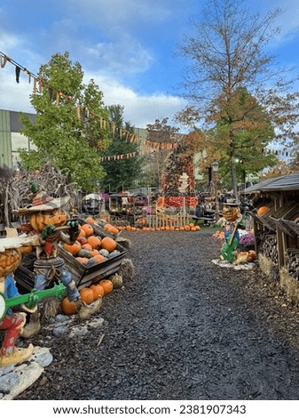 Halloween outdoor decoration with pumpkins