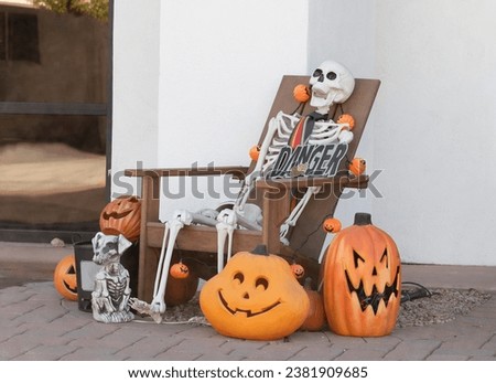 Skeleton In Chair, Pumpkins with Faces, Scary Dog And Skulls Are Traditional Attributes Of Halloween. Outdoor Decoration For Halloween Party. Horizontal Plane. High quality photo