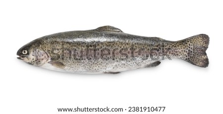 Fresh rainbow trout on white background Royalty-Free Stock Photo #2381910477