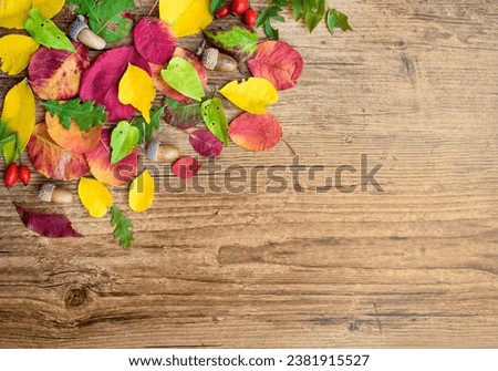 Autumn background with autumn leaves on wooden background  with copy space .Top view 