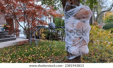 Outdoor view at the Halloween home decorations 