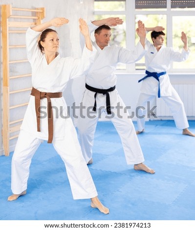 Woman and man in kimono standing in fight stance during group karate training Royalty-Free Stock Photo #2381974213
