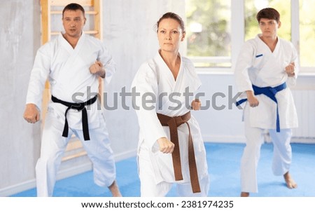 Woman and man in kimono standing in fight stance during group karate training Royalty-Free Stock Photo #2381974235