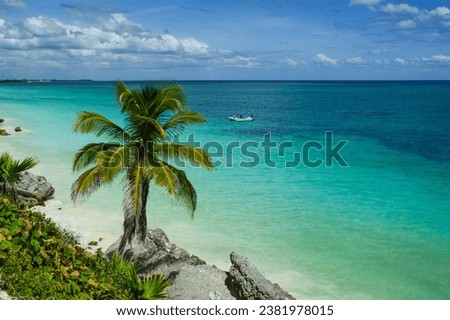 Caribbean Sea and the Palm from the Beach in Tulum National Park, Quintana Roo, Yucatan, Mexico Royalty-Free Stock Photo #2381978015