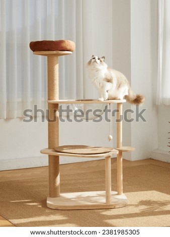 Cat Tower,Cat tree,pet cat wooden frame,cat climbing frame,indoor Royalty-Free Stock Photo #2381985305