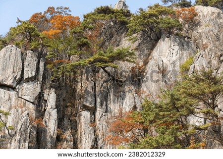 Autumn mountain landscape - colorful maple leaves