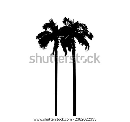 Set of silhouettes of palm trees on a white background. Vector illustration