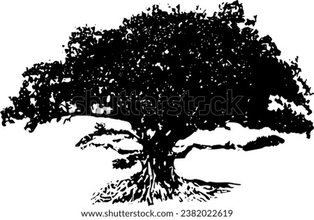 a black and white photo of a large tree, silhouette of mango  tree on white background vector art,  black color