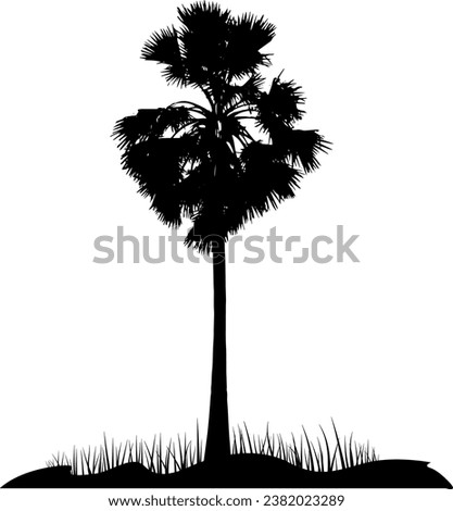silhouette of  palm tree on white background vector art, black color