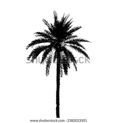 silhouette of  palm tree on white background vector art, black color