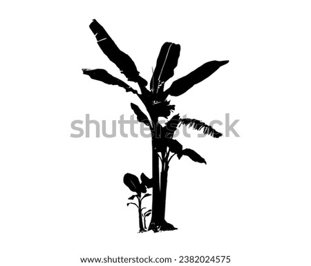 silhouette of banana tree set on white background vector art black color