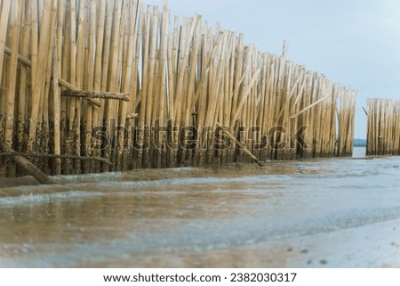 Bamboo fence wall is breakwater for protecting the shore from wave erosion and storm in sea. idyllic scene of the tropical sea background.