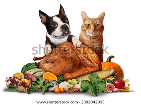 Pets and Thanksgiving as a cute dog and cat with a roasted Turkey as a traditional autumn bountiful dinner during harvest time for pet lovers celebrating abundance and blessings of the Fall season.