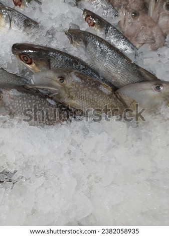 fresh fish sold in supermarkets