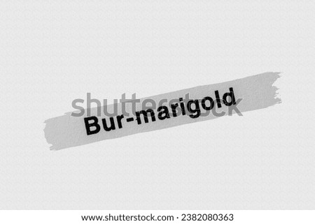 Bur-marigold in English vocabulary language heading and word title and meaning with reference to British wildlife and countryside