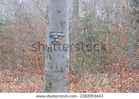 on the tree is a signpost with the inscription scheuren