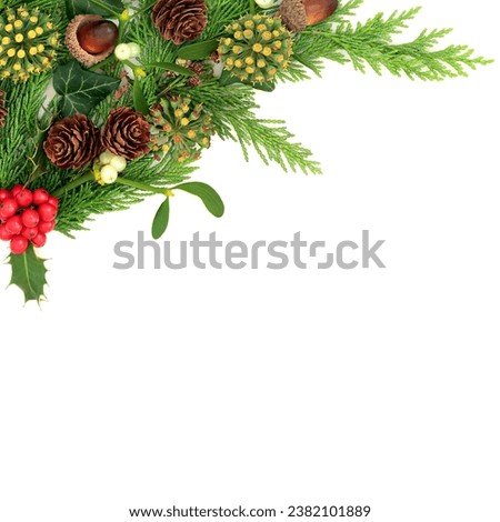 Christmas winter nature flora greenery border on white background. Traditional festive display for greeting card for the holiday season, Yule, Noel, New Year.