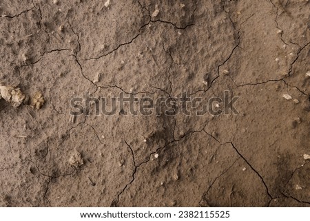 Dry soil with lines and texture.
Macro shot brown ground.
Agriculture concept .
Close up picture of detail in soil on field. 