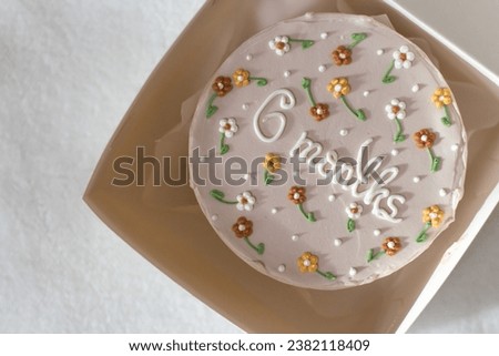 6 month birthday cake. Bento cake with flowers for a six month old baby. Royalty-Free Stock Photo #2382118409