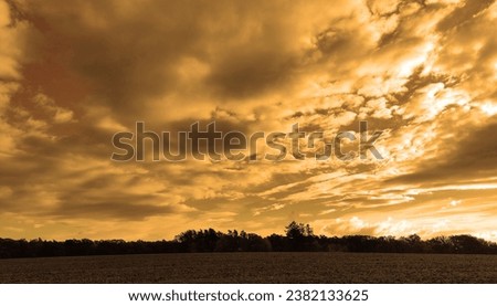 Beautiful landscape, dramatic orange sky with clouds and field with trees, magical atmosphere, orange photo