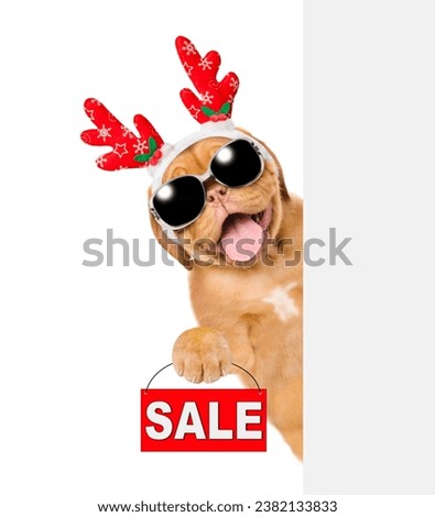Happy Mastiff puppy dressed like santa claus reindeer  Rudolf looking from behind empty white banner and showing signboard with labeled "sale". isolated on white background