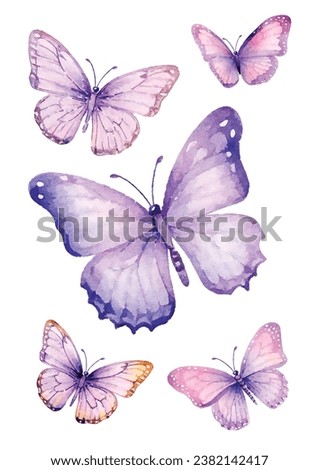 Butterfly print, Butterfly poster, Watercolor Fly, Fly postcard, 