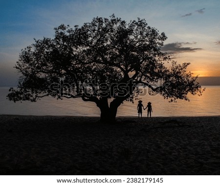 silhouette of a person during sunset on Pindobal beach, in Belterra, Pará