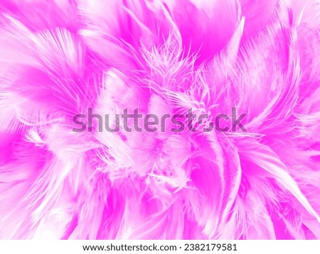 feather pattern pink background beautiful abstract pink banner
